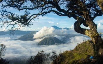 mount bromo mount ijen ijen mountain bromo mountain bromo tour ijen tour